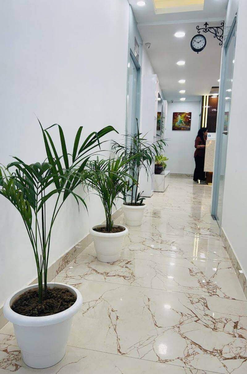 Cult Aesthetics Dermatology, West Delhi